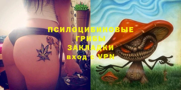 мяу мяу мука Верея