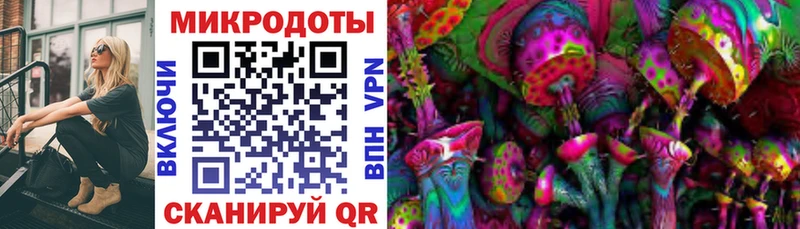 Псилоцибиновые грибы мицелий  Буинск 