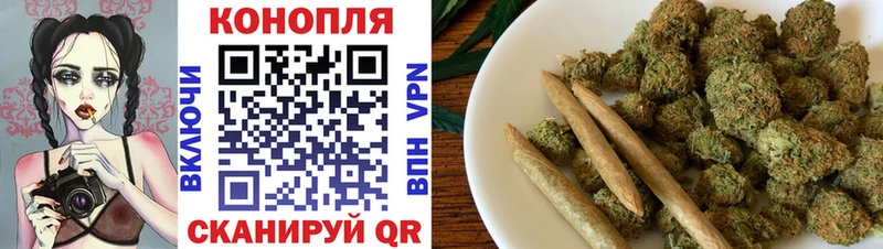 сколько стоит  Буинск  Каннабис план 